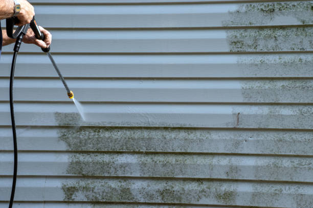 Siding Removal and Disposal in Sneads, FL