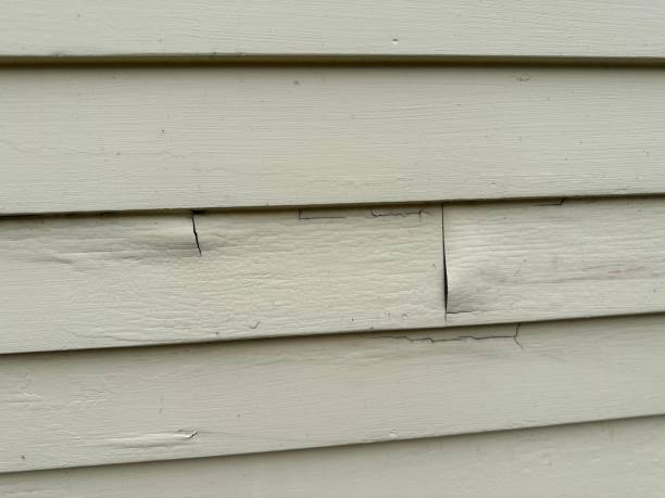 Storm Damage Siding Repair in Sneads, FL